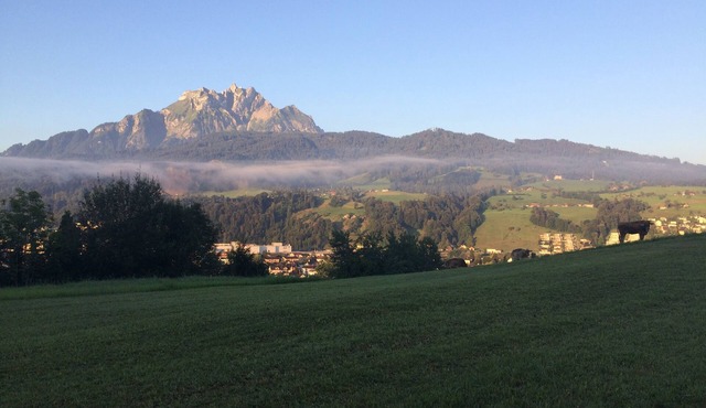 Child friendly, 2 bedroom modern and comfortable flat with garden in Luzern