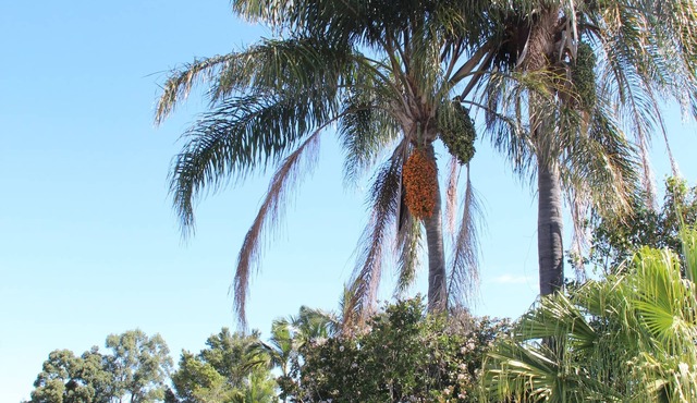 Childers Gateway Motor Inn