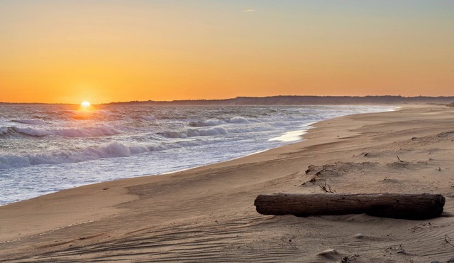 Chilmark 1-bedroom Bunk house, WiFi, AC. Private Beach, Pets. No kitchen