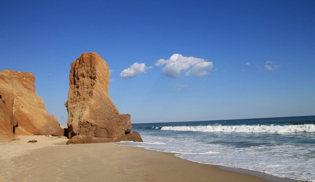Chilmark Vista and Lucy Vincent Beach