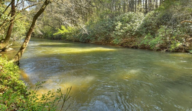 Chimney Path on Fightingtown Creek | Log Cabin | Trout Fishing | Secluded