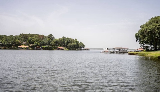 Chimney Pines at Lake Palestine