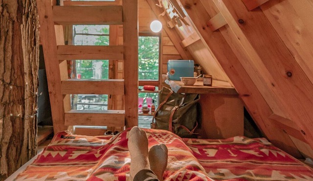 Chimo Refuges Tree House Resort - Entire property rental