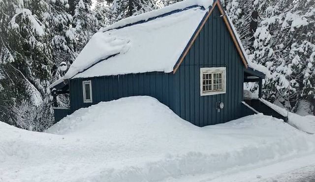 China Alley Cabin C: Cute & Cozy Cottage w/Deck