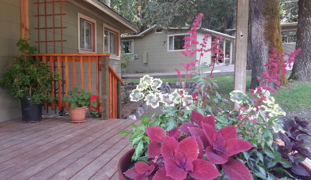 China Creek Cottages