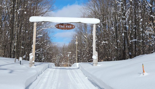 Chipmunk Cabin - a cozy, intimate cabin in the woods of northwest Michigan