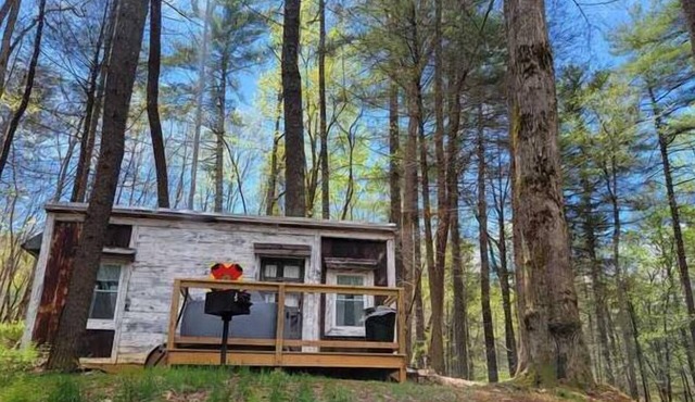 Chipmunk Chalet Tinyhome, nestled in the Chattahoochee National Forest w/hot tub