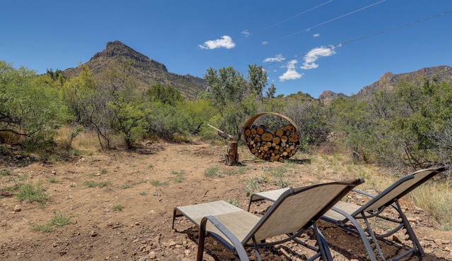 Chiricahua Birding Cabin By Cave Creek Canyon!