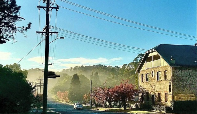 Christmas 2025 availability