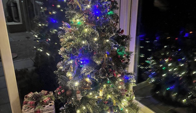 Christmas on Smith Lake! No steps to water! 4 bedrooms & 3 full baths.