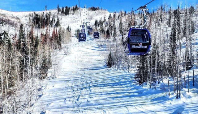 Christmas Week. Ski-In Ski-Out Resort. Studio Villa sleeps 4. Mountain View