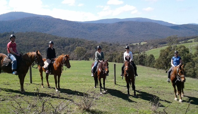 Chum Creek Hut - Luxury Country Cottage on beautiful horse property.