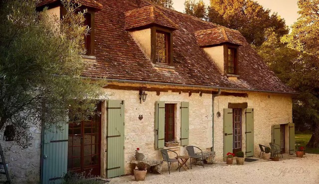 Cicadas and birds sing to the setting sun