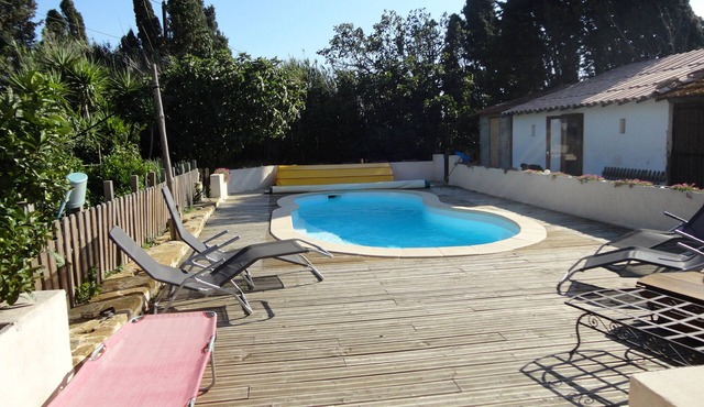 Cicadas and crickets.