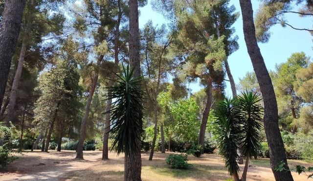 Cigalou at the gateway to the calanques, 2 km from the beach, 8 km from the Luminy university campus