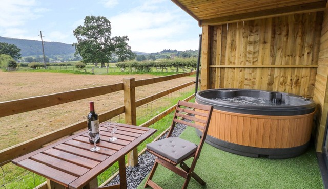 CILAN LODGE, family friendly, with hot tub in Llandrillo