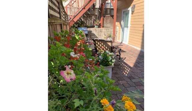 Cincinnati Oasis with Patio UC/Downtown