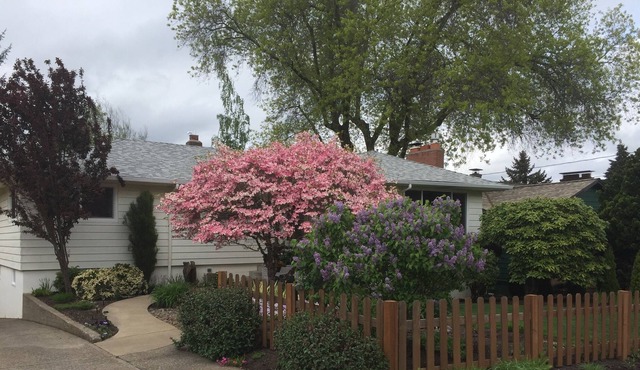 Cindy's Nook, Suite with Private Entrance & Sauna