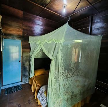 Cinta alam inn