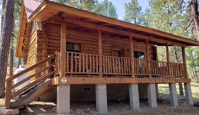 Circle Pine Ranch-"The Real Log Cabin Experience"