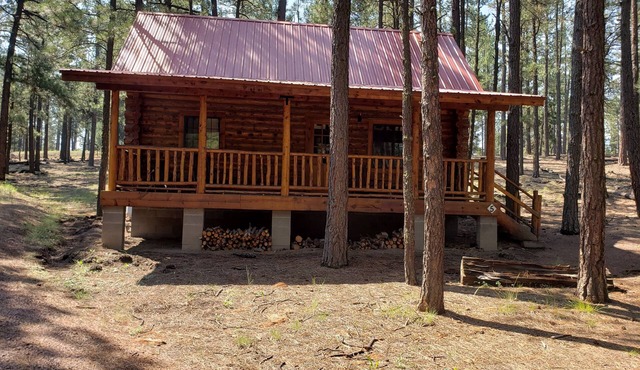 Circle Pine Ranch-"The Real Log Cabin Experience"