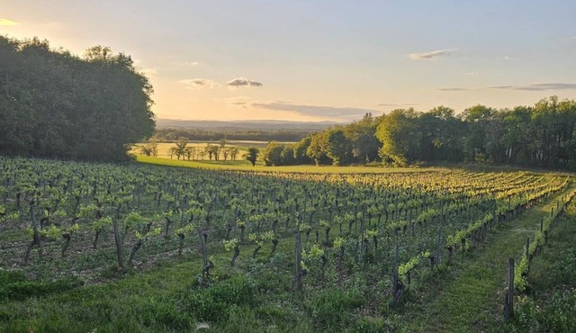 Cirieyo - ROUFFIAC - Gîte