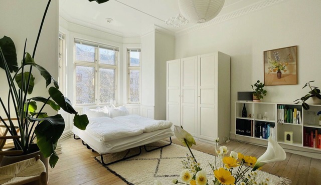 City Apartment in Copenhagen with 2 bedrooms sleeps 4