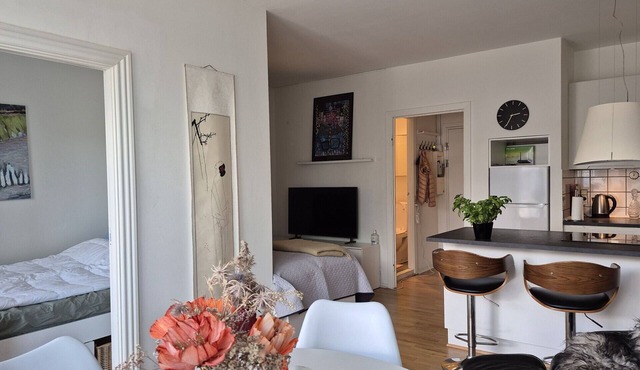 City Apartment in Copenhagen with 1 bedrooms sleeps 3
