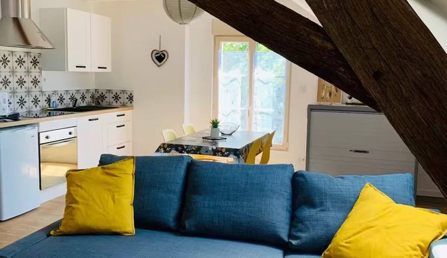 City center (2): superb air-conditioned apartment