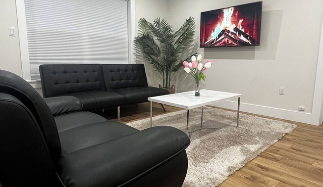 City Center Modern Apartment