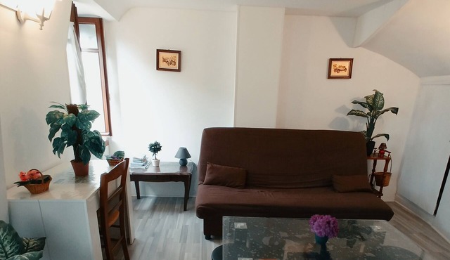 City center Super well-equipped apartment