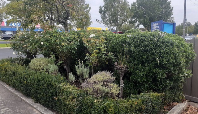 City Gardens Motel Traralgon