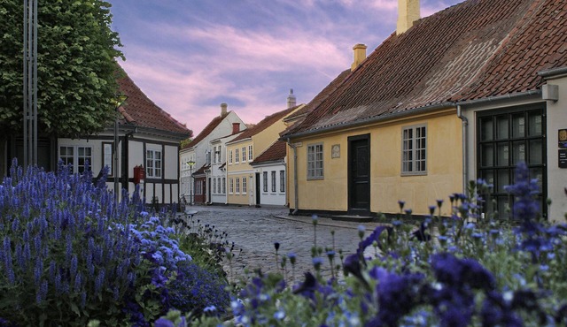 City Hotel Nattergalen