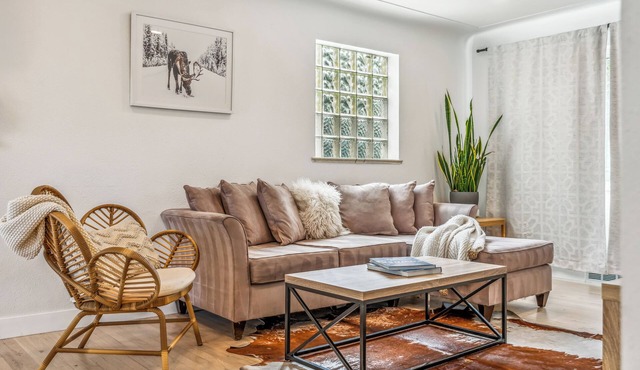 City Park Modern Escape. 5 Bedroom Family & Pet Friendly