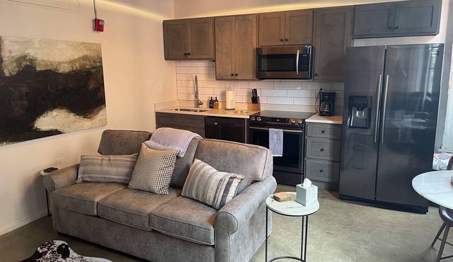 City View 1-King bed 1-bath with 1-queen sofa couch Condo in Downtown Knoxville