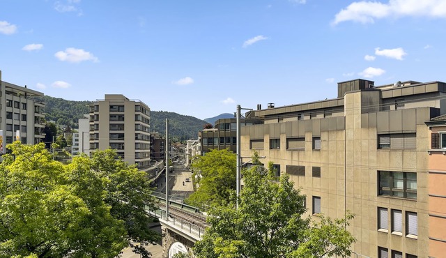 City View 2 Business Apartment Zug high-speed WIFI, Netflix, Disney+