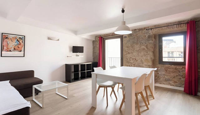 Ciutat Vella 1 hab Barcelona terraza comunitaria