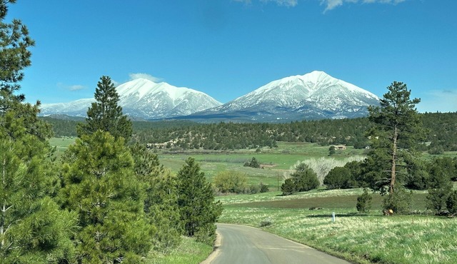 CJs Ranch RV and Tent sites, with Log Cabin