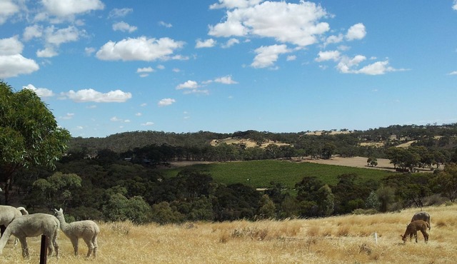 Clare View COTTAGE (pet friendly) Sleep 4