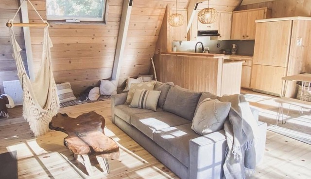 Clarity Cabin A-Frame Sanctuary w Hot Tub, Fireplace, Grill, AC, Hammock Chairs, Fire Pit, Pets OK