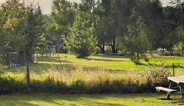 Classic 70's -The Beach House