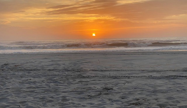 Classic Beach Bungalow Oceanfront, private beach path Ponte Vedra-S. Jax Beach