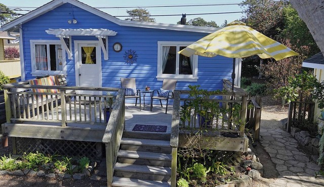 "Classic Blue Cottage on the Hill"