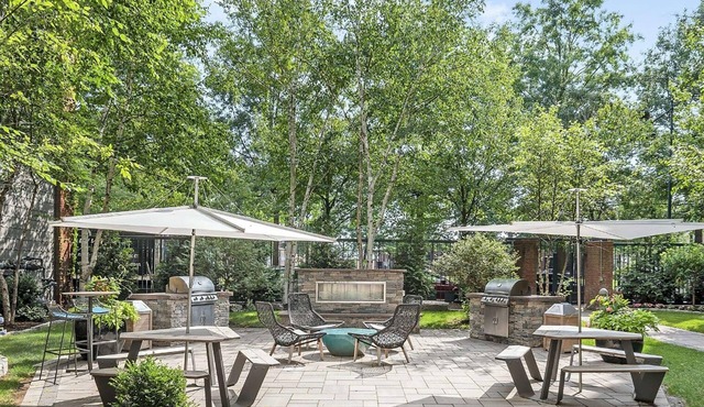 Classic Central Square 1BR w/ W/D & Gym, by Blueground