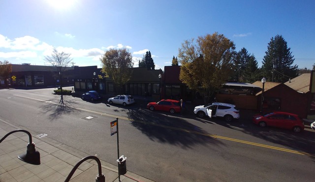 Classic Condo in the hart of Downtown Burien