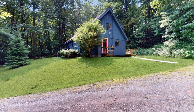 Classic, dog-friendly cabin in the woods w/private deck