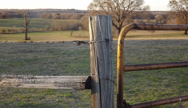 Classic Family Ranch - Experience Real Texas Country