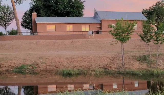 Classic farmhouse on 20 acres, no cleaning fee!