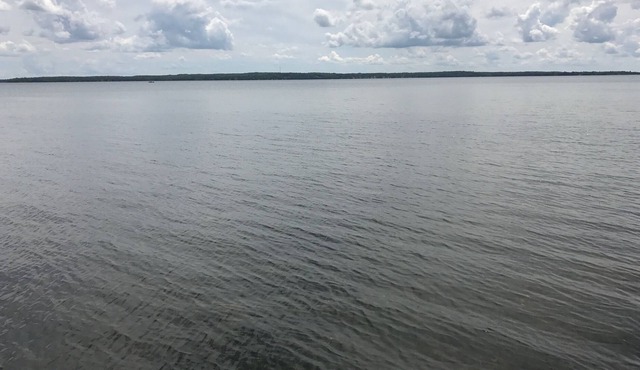 Classic lake cabin on Lake Miltona!