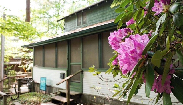 Classic Lake Cottage nestled in Wooded Dunes just